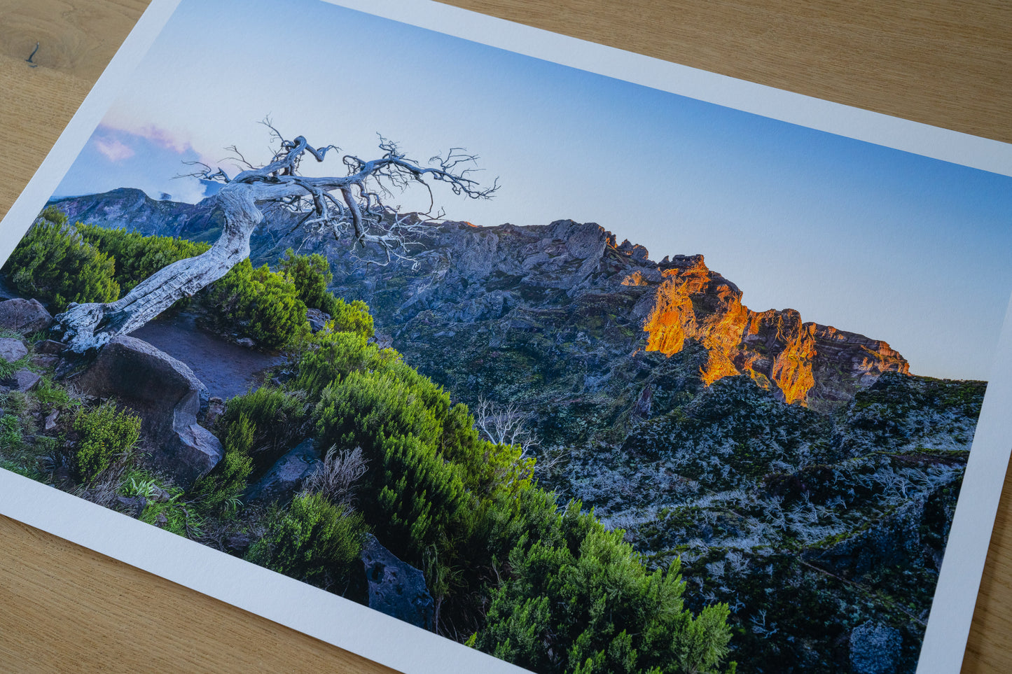 Impression sur papier au format A2