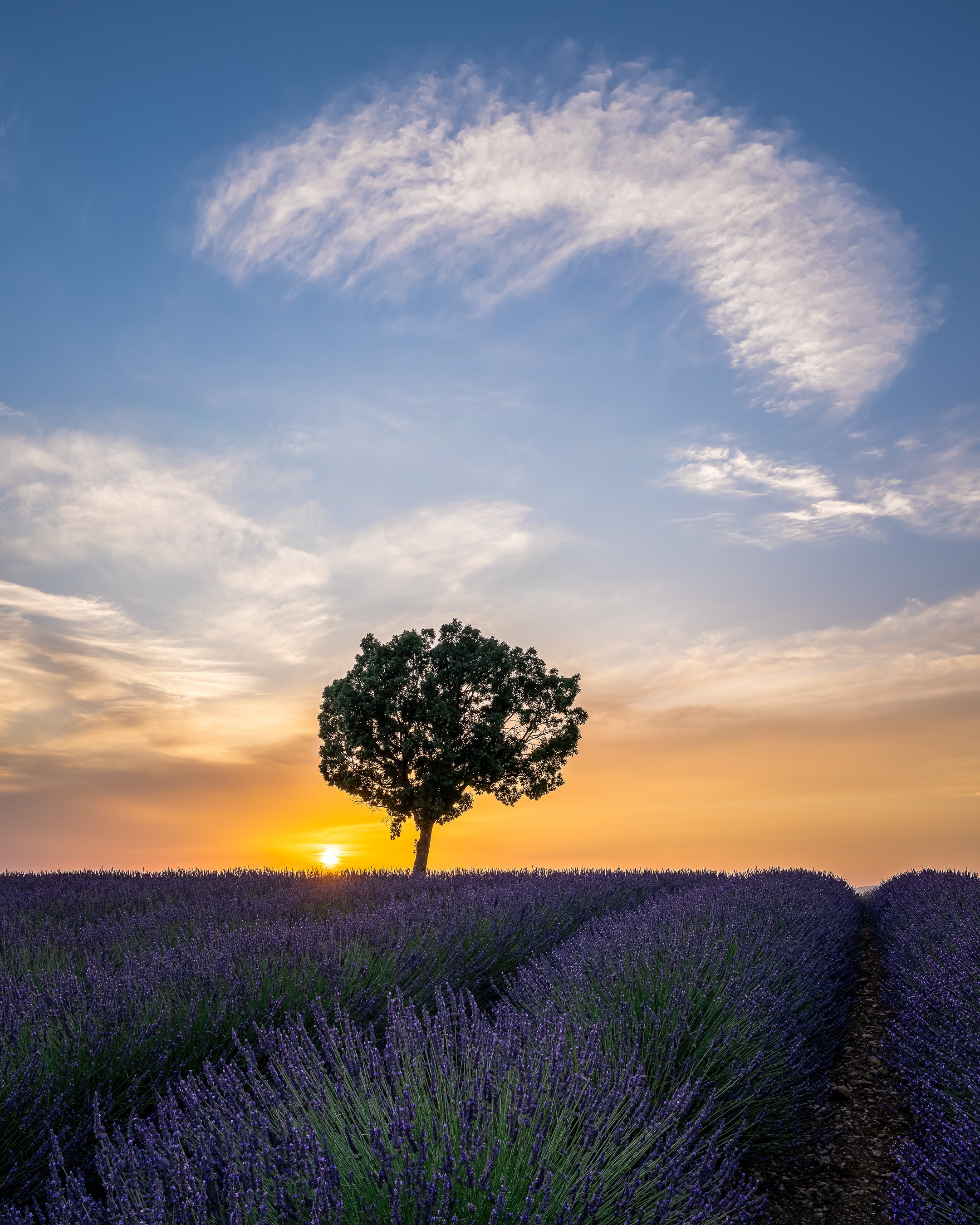 Perfect conditions in the lavender fields of Valensole, with the sunset turning the landscape into a beautiful canvas